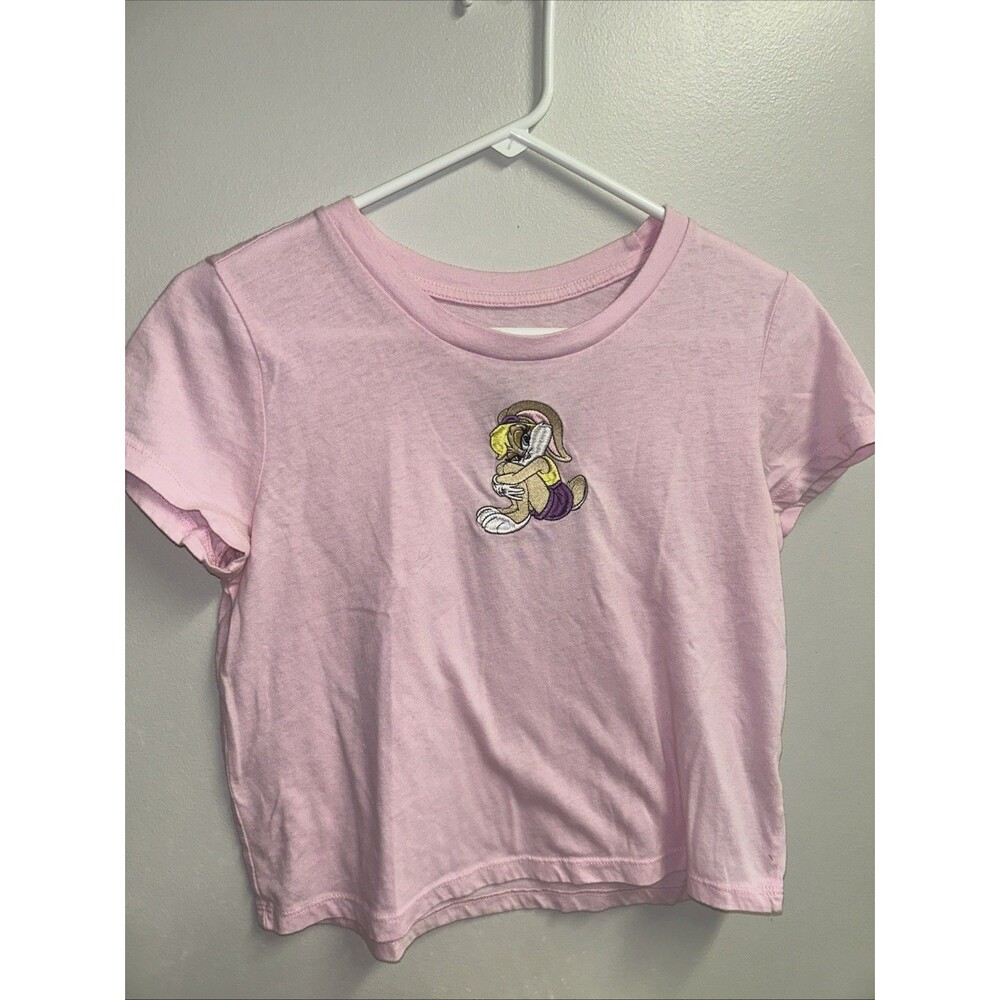 Looney Tunes Crop Tee Women Medium Pink Short Sleeve Embroidery Babs Cotton Blen